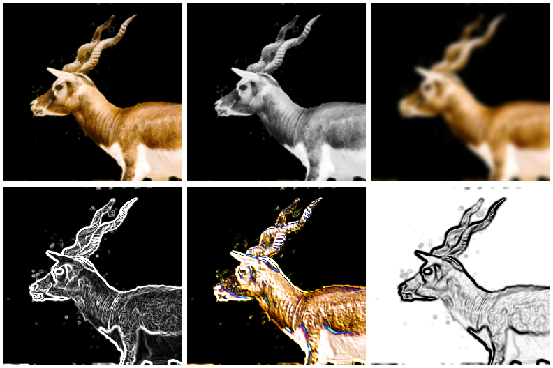A blackbuck photo processed by darkroom: original, black and white, Gaussian blur, Sobel edges, emboss, and a blur-edge-invert pipeline